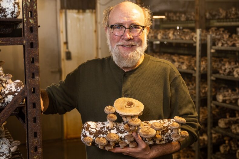 Kevin Doyle, owner of Forest Mushrooms.